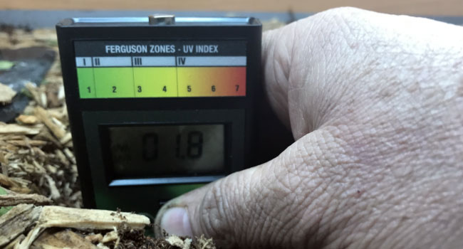 solar meter for tortoise