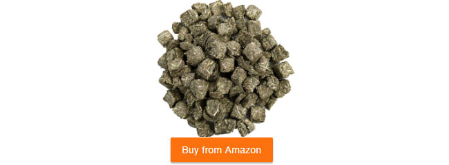 timothy hay cubes for tortoises