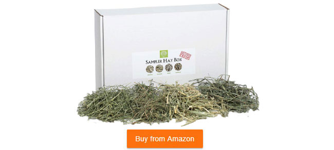 sampler hay for sulcata tortoise