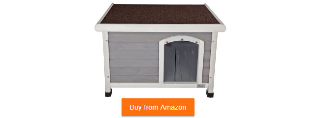 outdoor dog house for tortoise