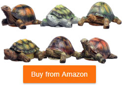 set of 6 tortoise figures