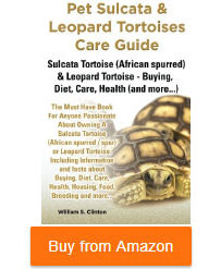 pet sulcata and leopard tortoise care