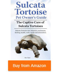 sulcata tortoise pet owner's guide