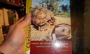 Sulcata Tortoise Books