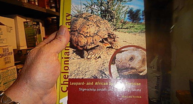 Sulcata Tortoise Books