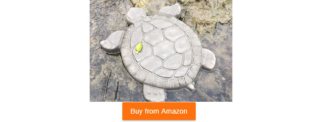tortoise stepping stone mold
