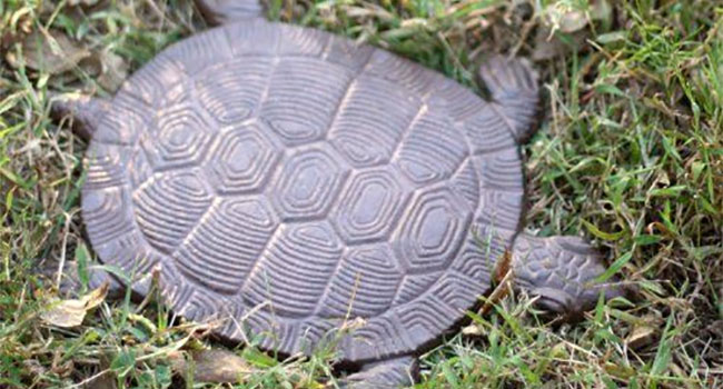 Cute Tortoise Garden Stepping Stone