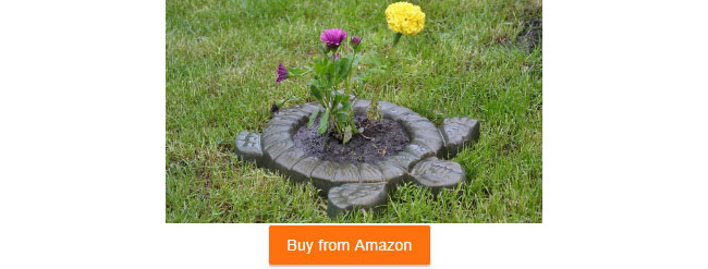 turtle stepping stone mold