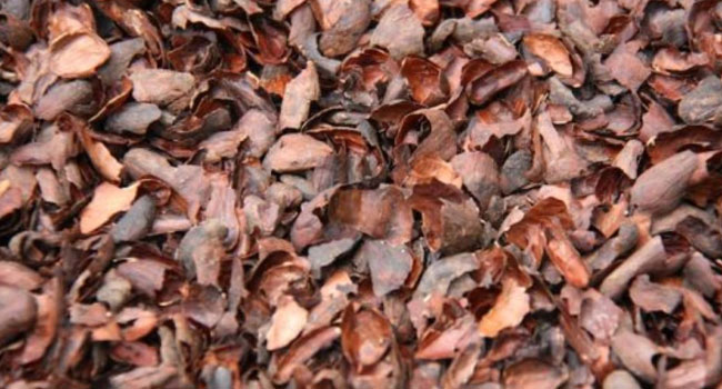 Cocoa Shell Mulch for Sulcata Tortoise