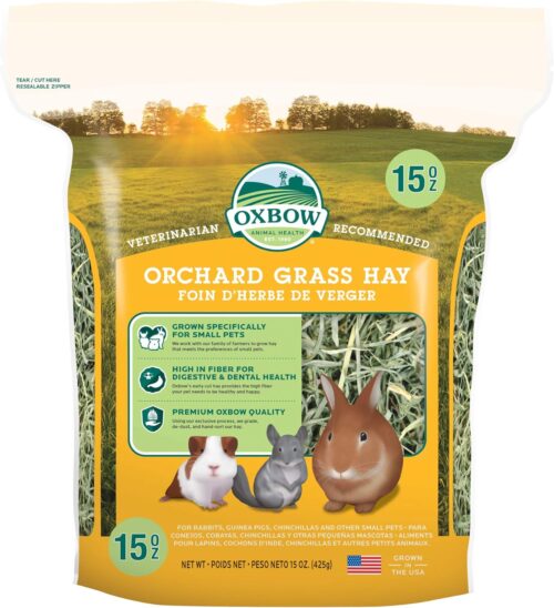 orchard grass hay