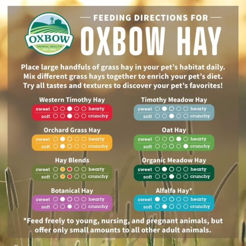oxbow grass hay